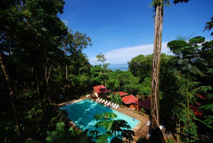 View from main deck at Mar y Selva Ecolodge